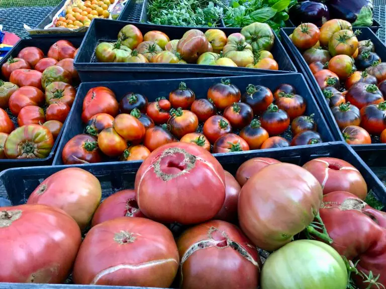 heirloom tomatoes